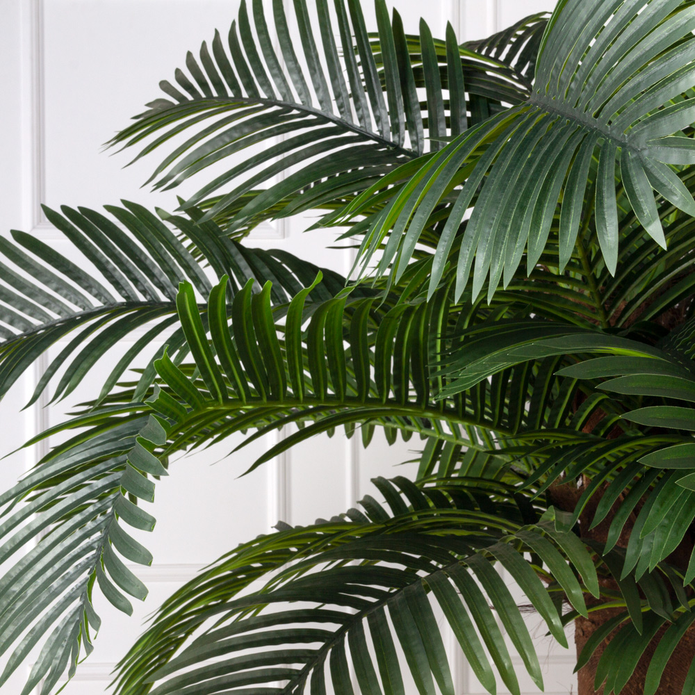 П240/49 Пальма Арека искусственная h240см (латекс) _3