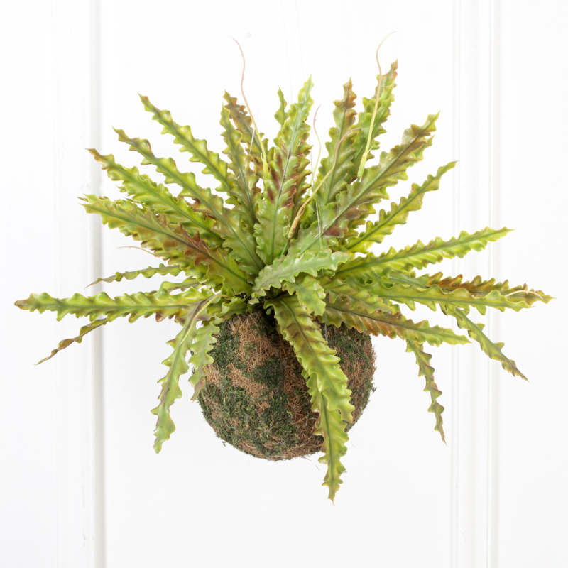 ККД35/208-2 Кокедама d-15 