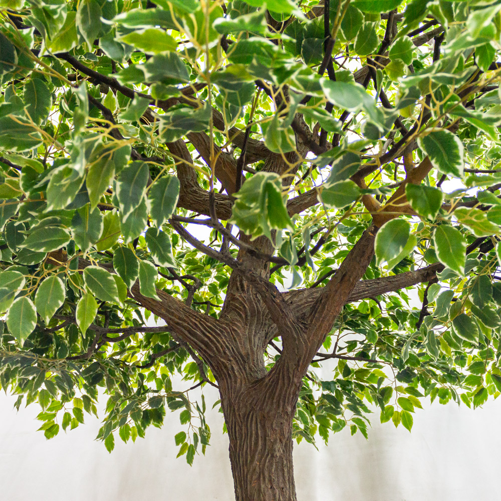 420разб/17М(з) Фикус Бенджамина искусственный h420см, d250-270см_4