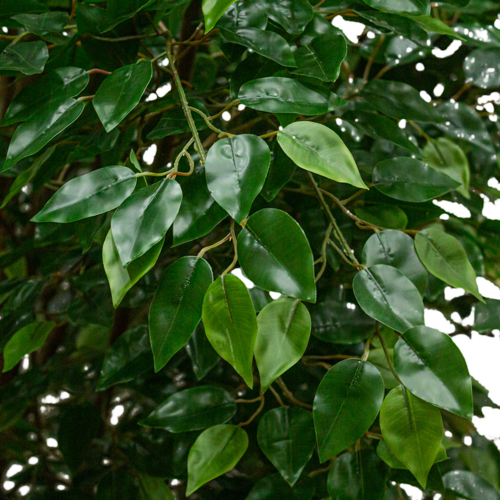 600Разб/РН/34(з.) Фикус искусственный h600см_3