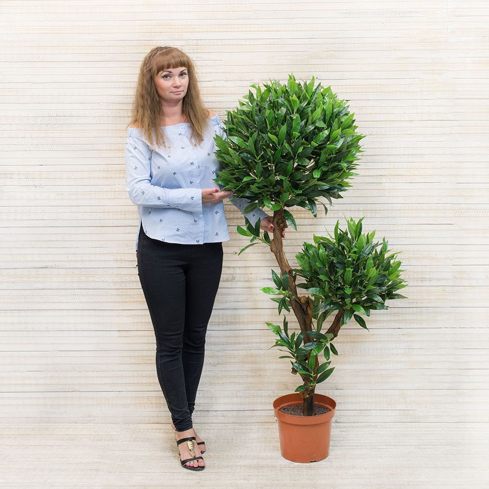 БЛ 150/ОС/2К/27М Лавр(латекс) 150см_2