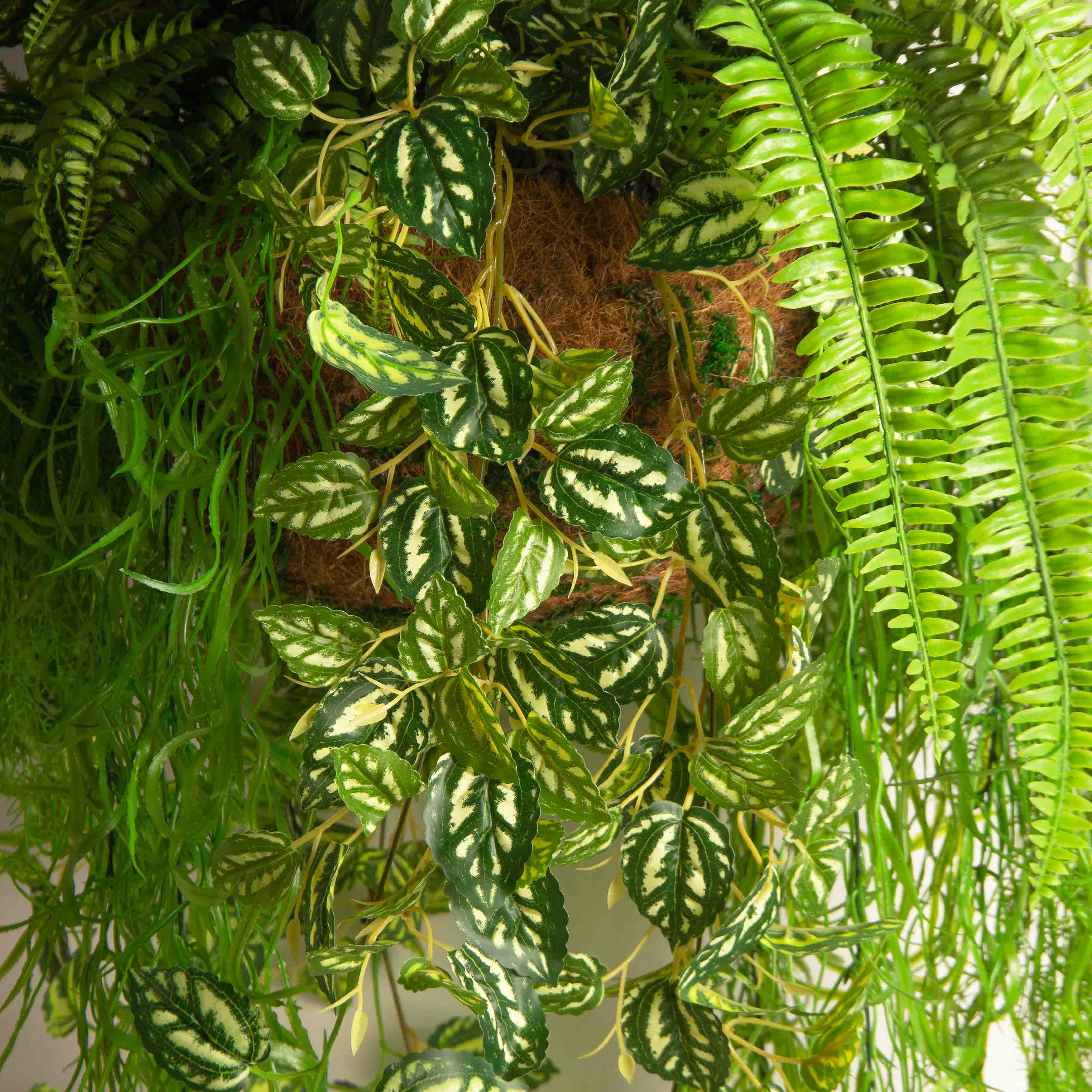 ККВ09 Папоротник искусственный с ампельной пилеей в коковите_6
