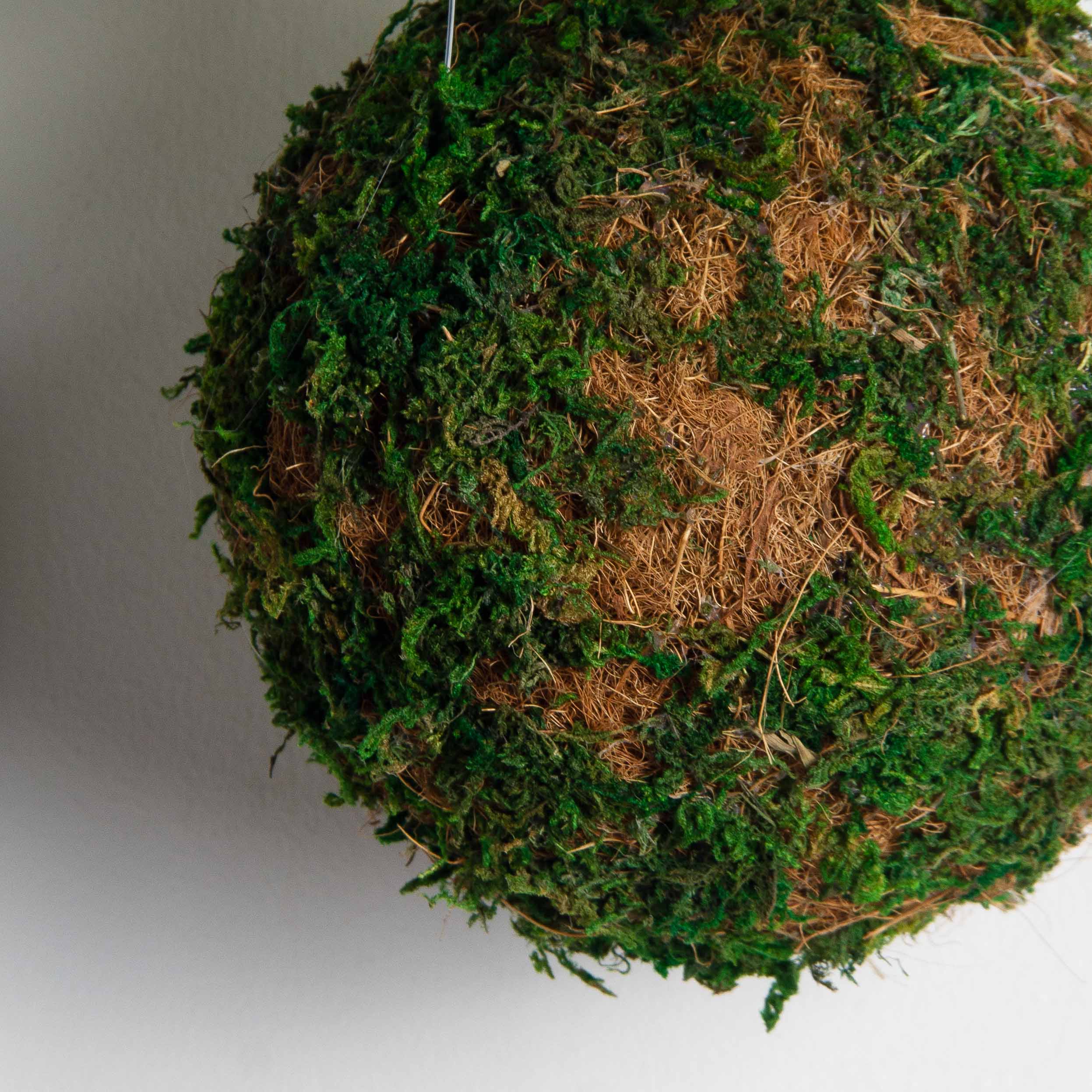 ККД38/160(F) Кокедама d15см 