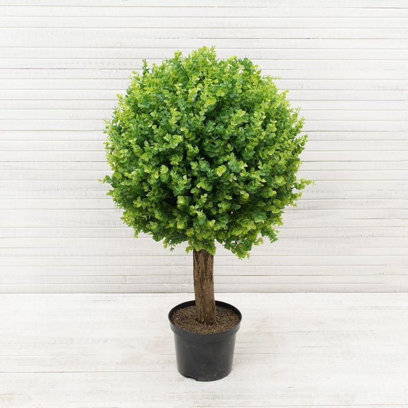 СШ85/228/1(з.) Самшит-шар Эвкалипт 