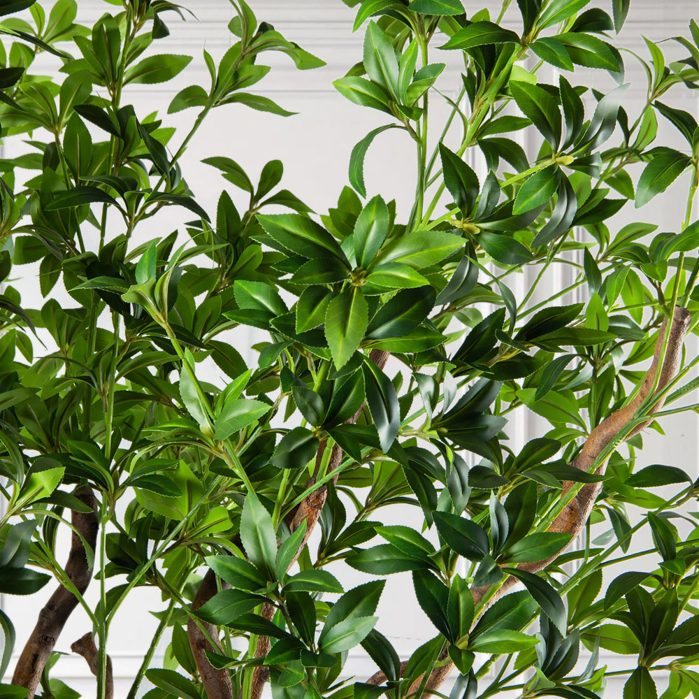 300/ВИТ/АСС/526(з)(УУ)(Пр)(F) Бересклет искусственный h300см_4