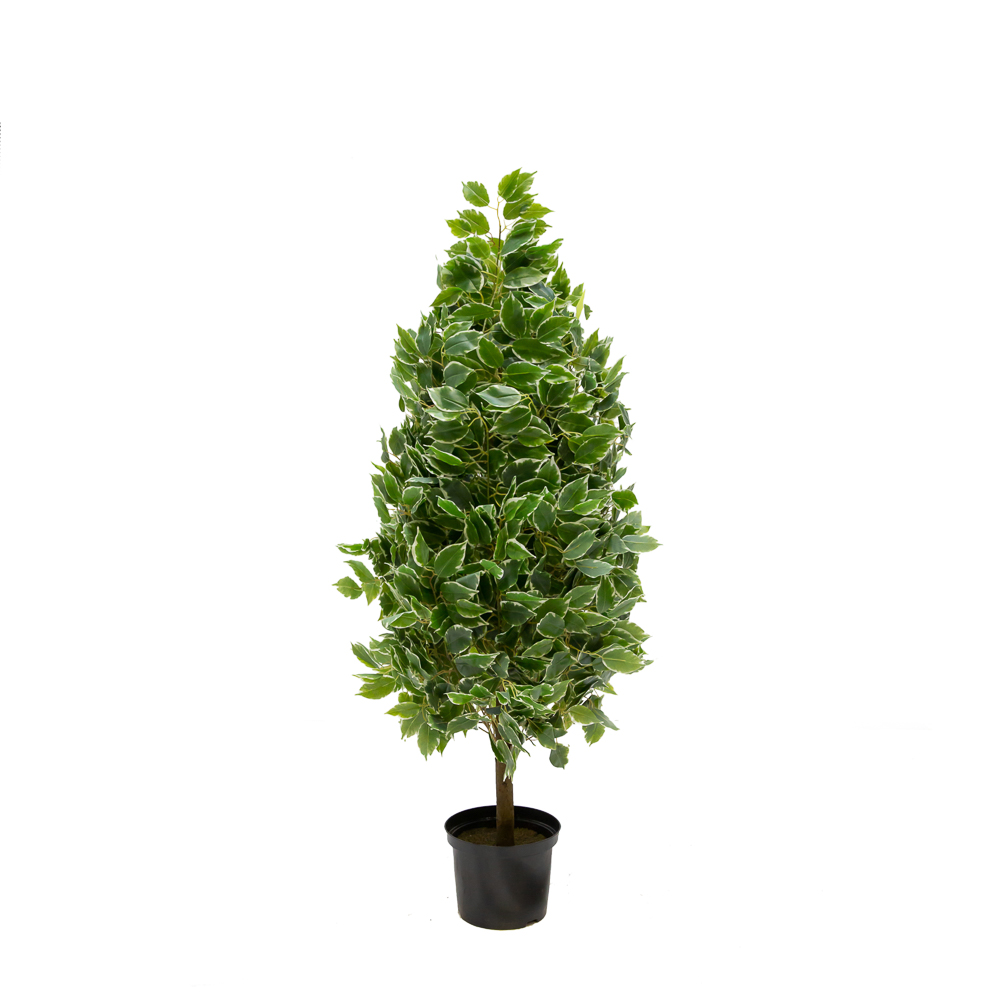 140/Р/17М Фикус Бенжамина h140см(латекс)