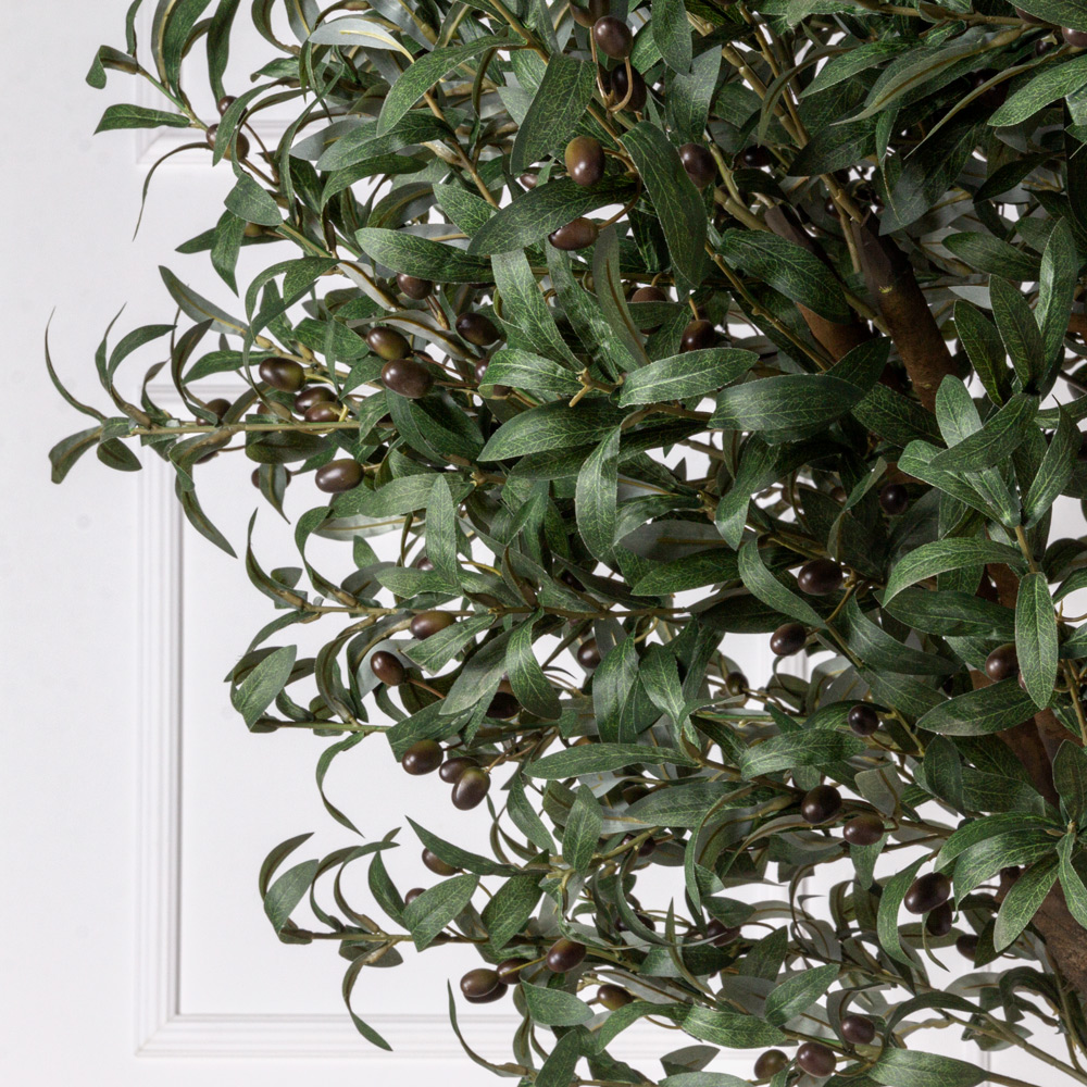 300разб/465(Promo) Оливковое дерево Премиум разборное h300см_19