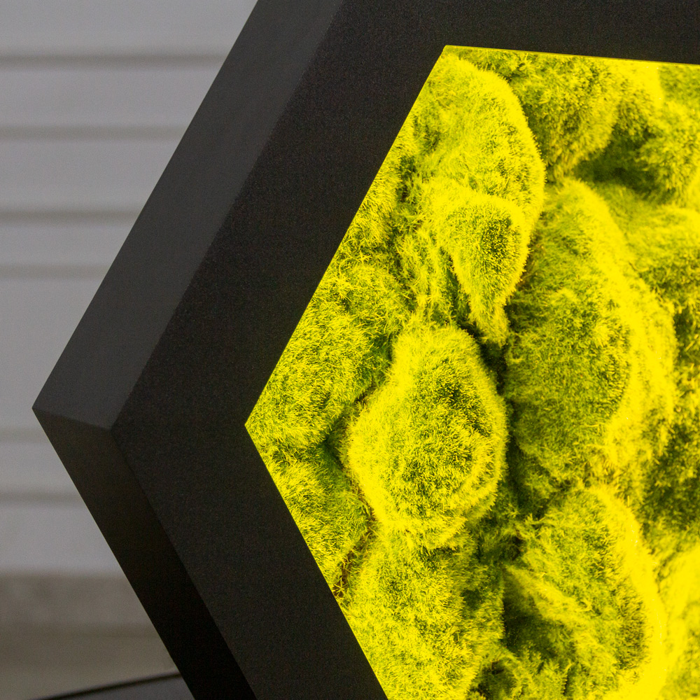 ФП22(Пр)(F) Фитопанно искусственное 