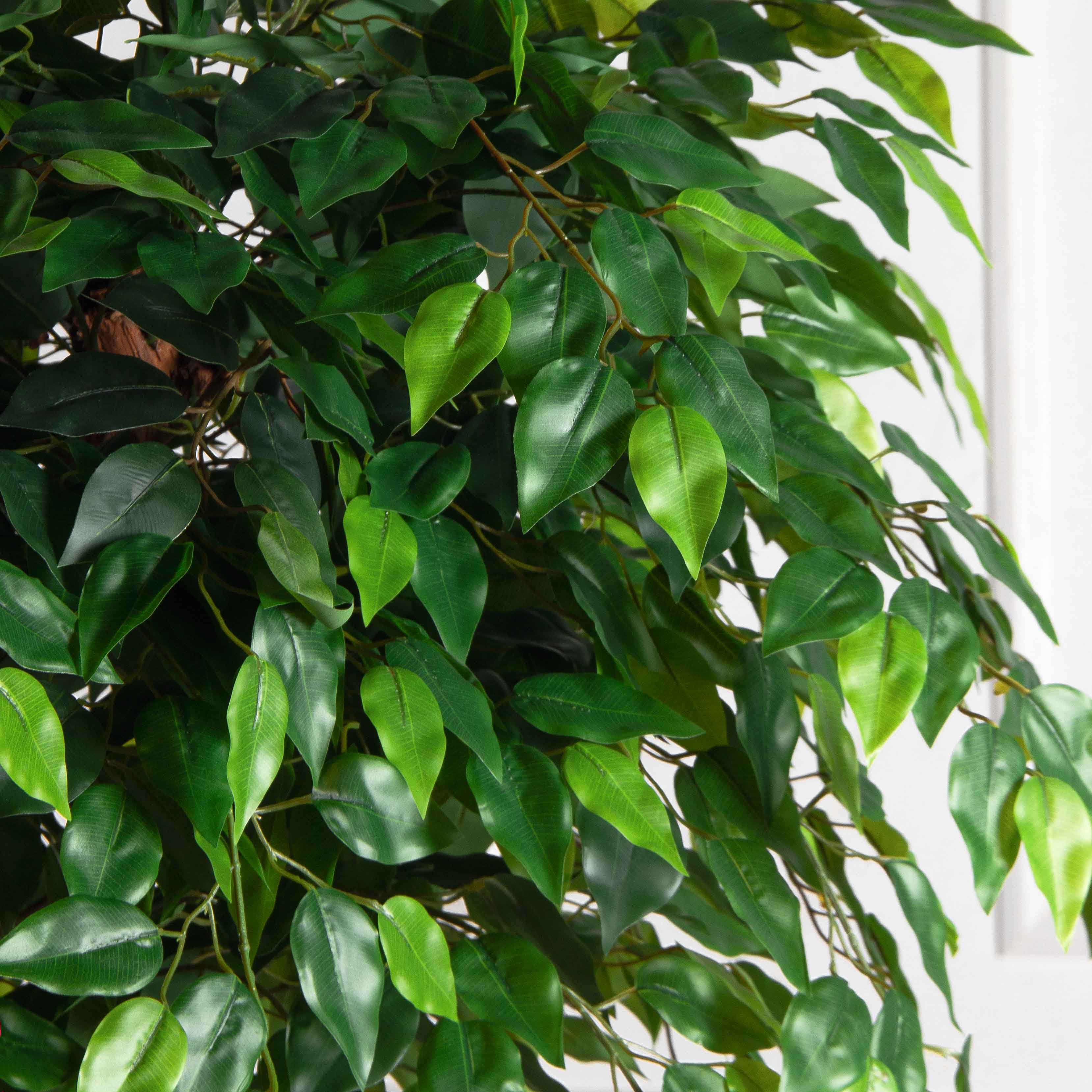 180/ОС/34(F) Фикус искусственный h180см (латекс)_4