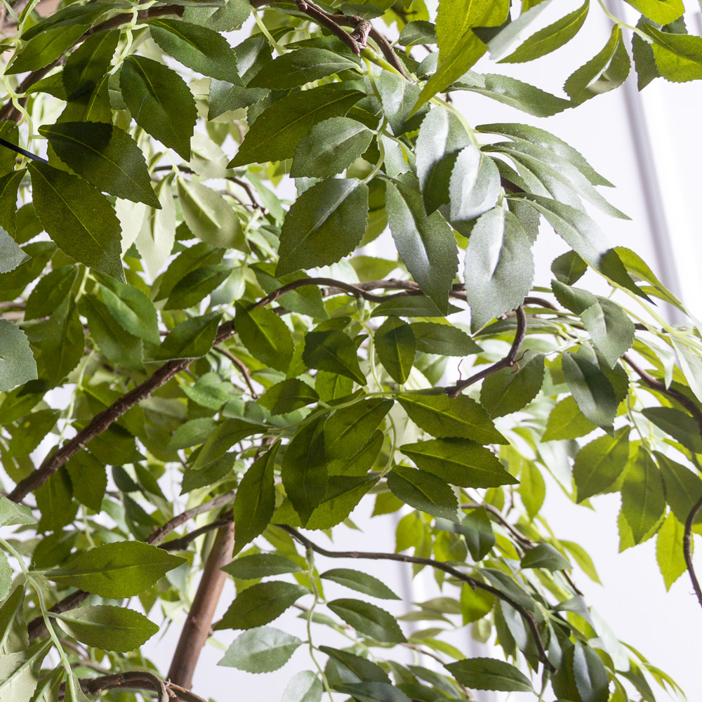 240/РН/605(Пр)(F) Мурайя искусственная  h240см_6