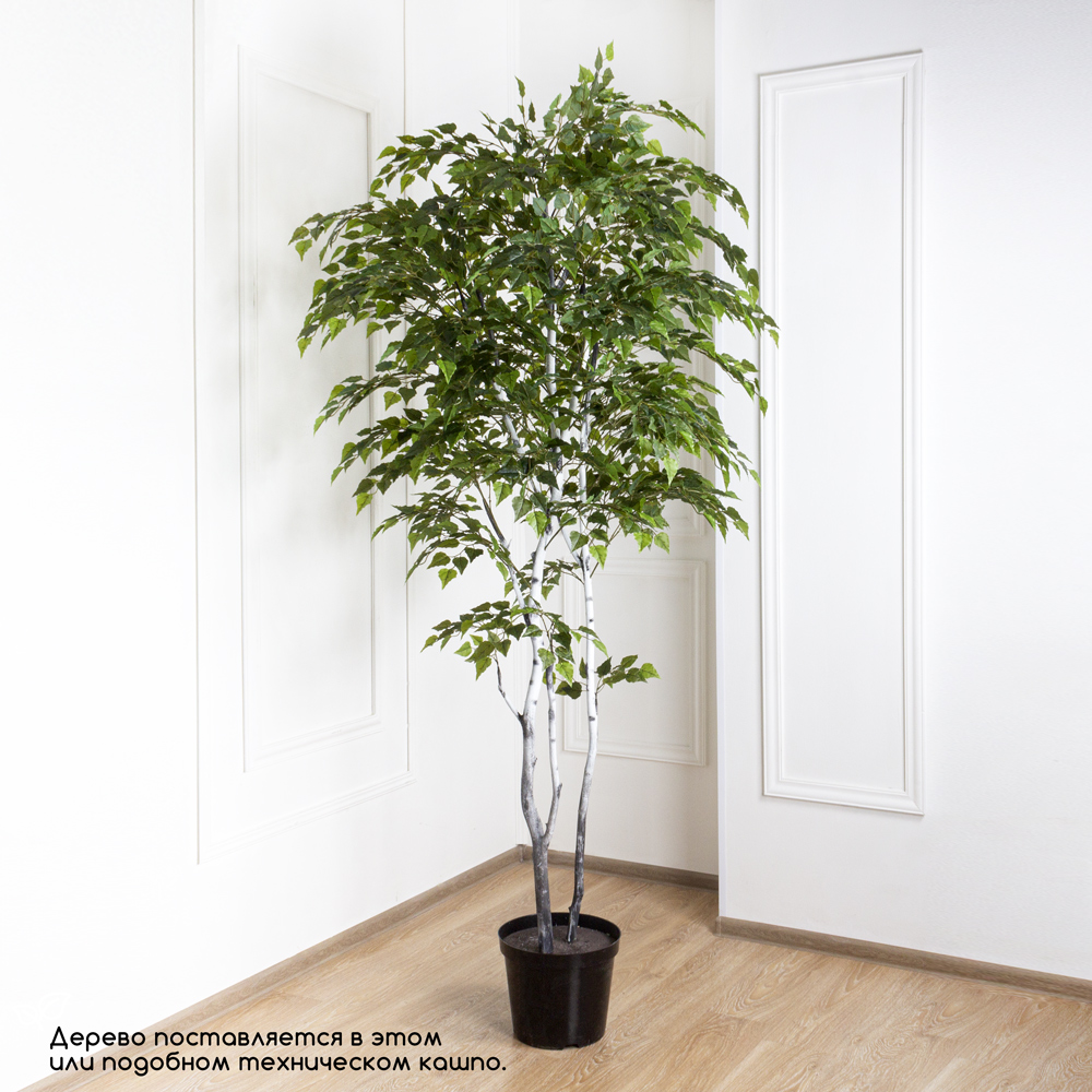 240/РН/12М-3(з) Береза искусственная h240см (латекс)_1