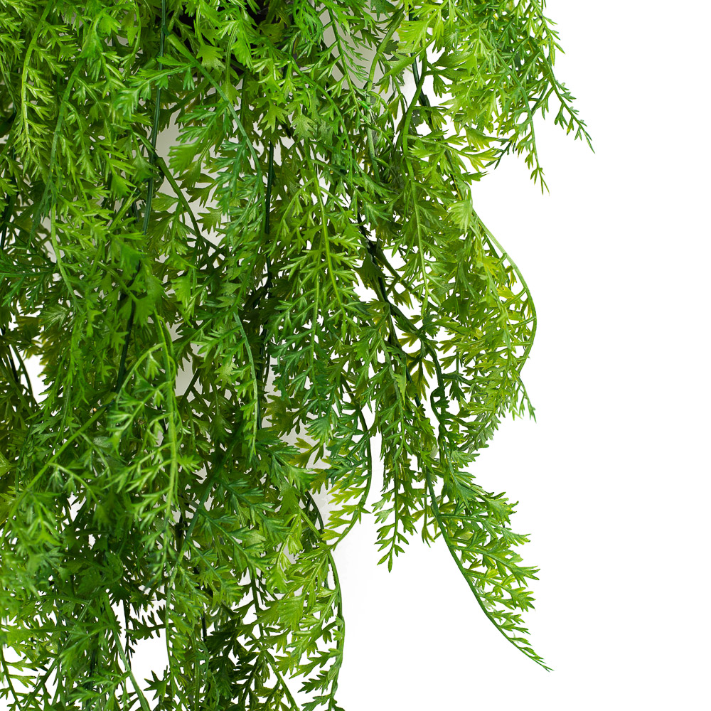 КС91 папортник ампельный свисающий в кашпо_2