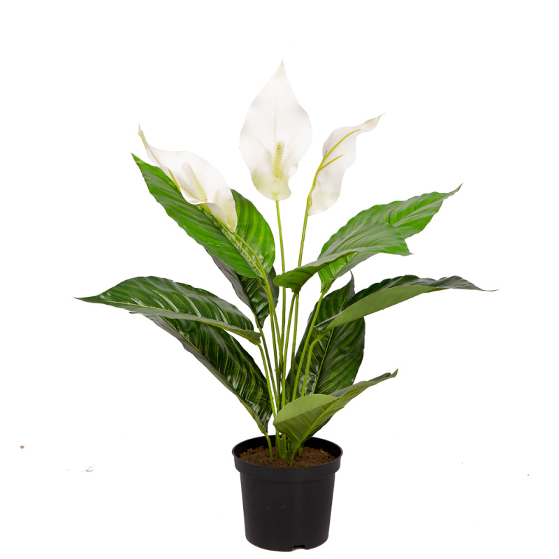 К45/217-1 Спатифиллум h45см (латекс/ревелюр)