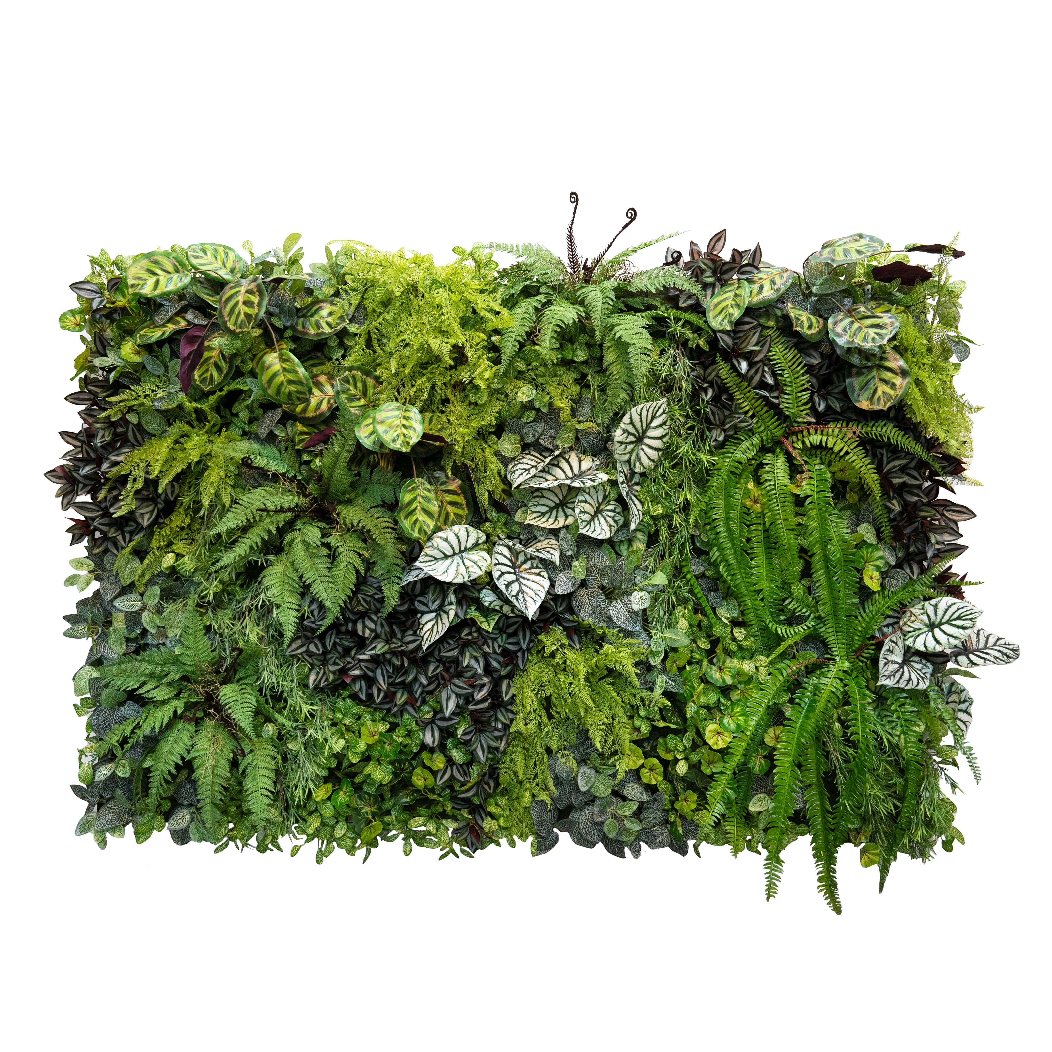 ФТС156-1 Фитостена_4