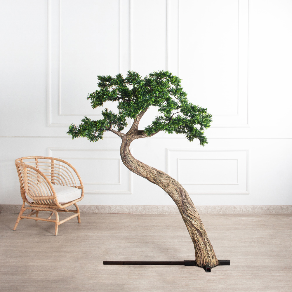 170МЕТ/АСС/241(з)(F) Подокарпус интерьерный h170 d120см_2