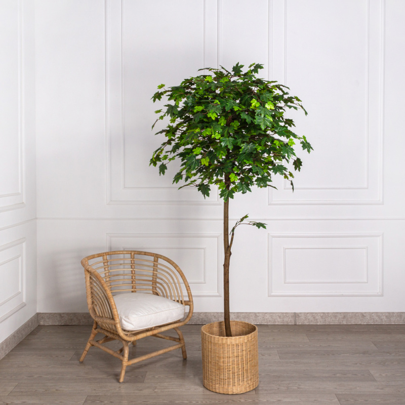 200/Р/29 Клён искусственный крупный лист h200см_4