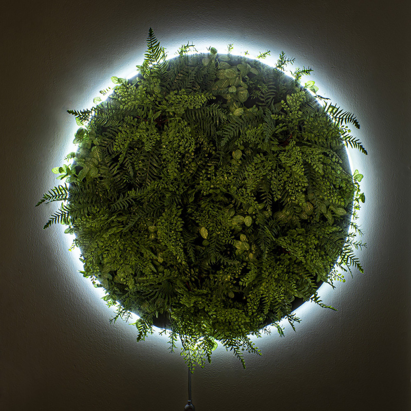 ФП06 Фитопанно искусственное с подсветкой d89см_1