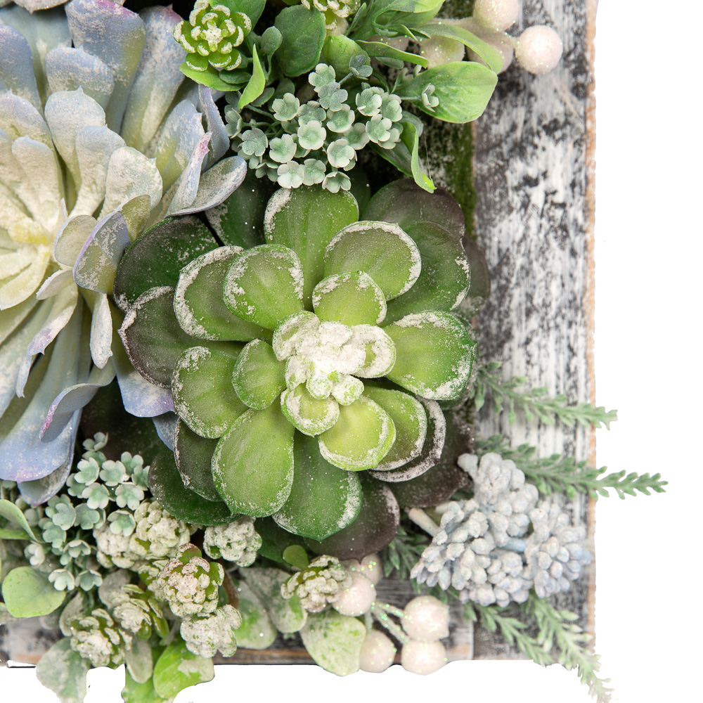 СКФ05 Фитокартина с суккул. НГ в дер.раме 25*39см_2