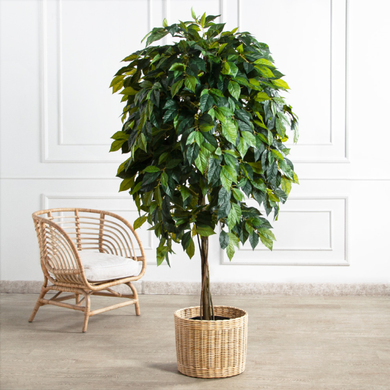 180/РН/537(FixS)(Пр)(F) Азимина искусственная h250см, (латекс)_1