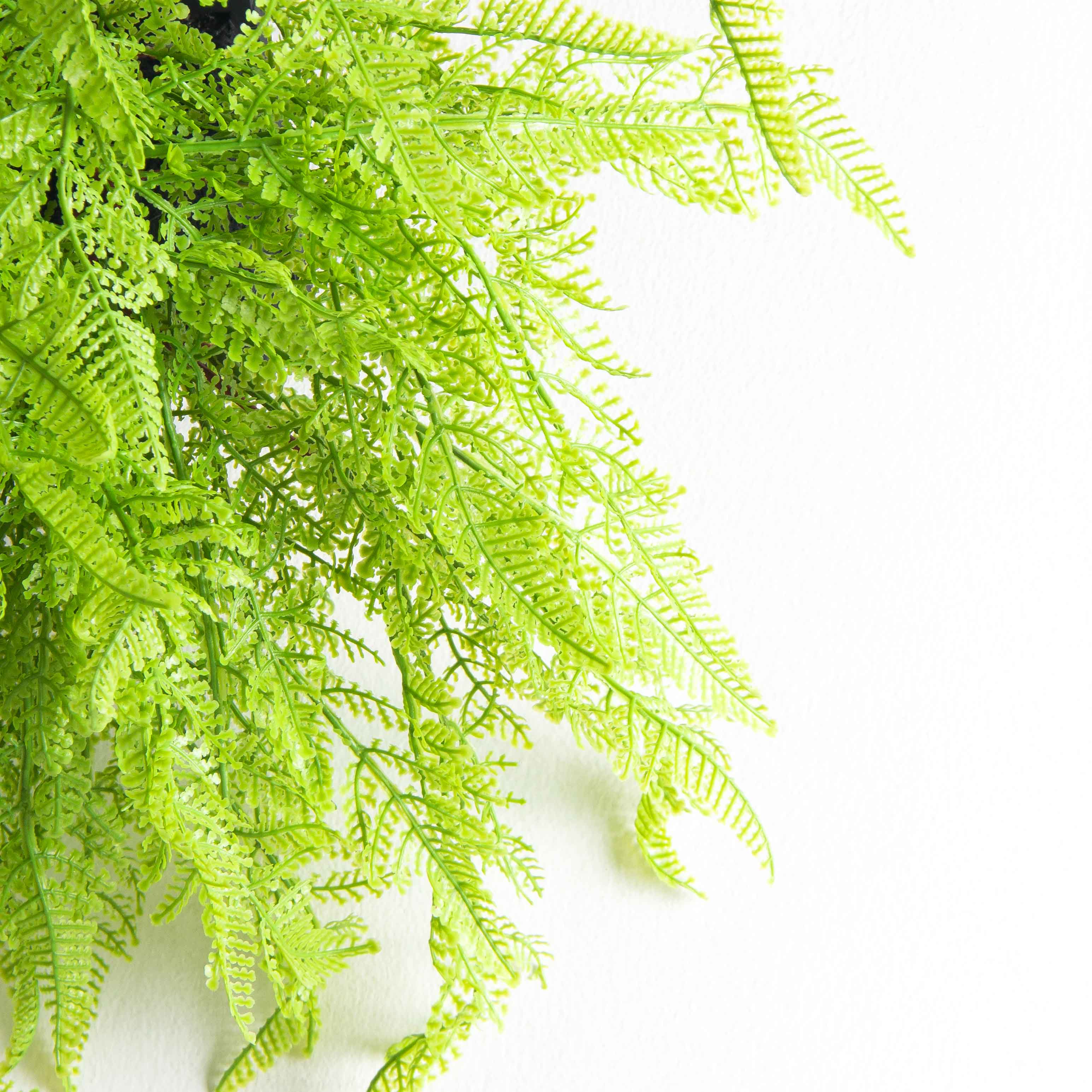 БК11(F) Композиция с папоротником Давалия на блоке 15*h10см_5