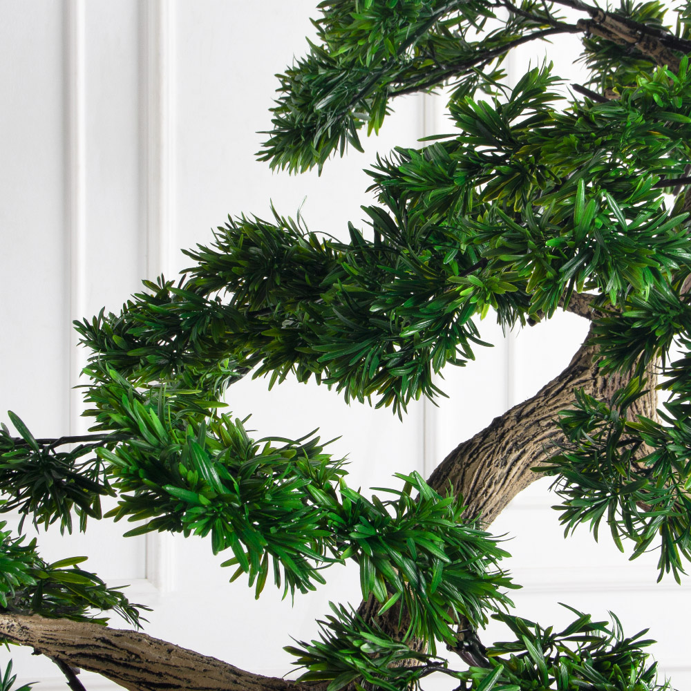 210МЕТ/АСС/241(з)(F) Подокарпус интерьерный h180 d150см_8