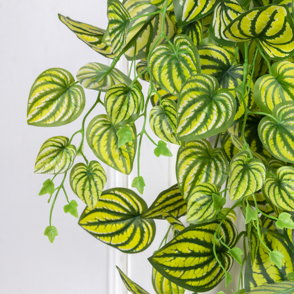 7144А/0016-351(F) Плющ традесканция искусственный 9 частей h100см (латекст) пестрый_1