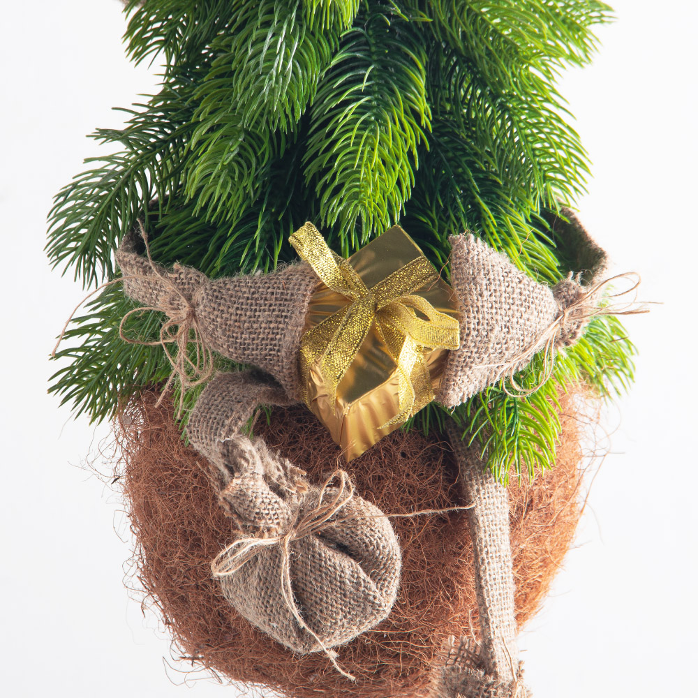 ККД15/289(Пр)(F) Кокедама искусственная Ёлочка 