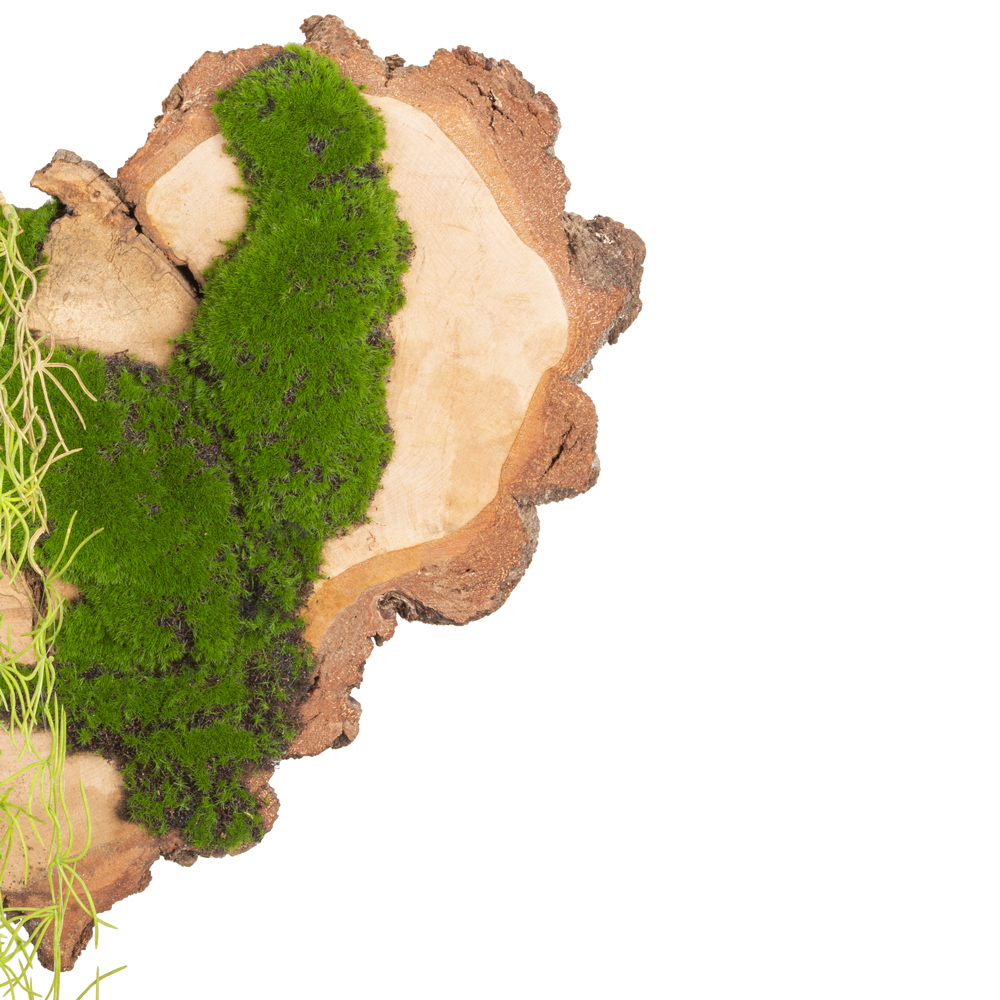 БК140/4 Композиция на березовом спиле d30-40см_2