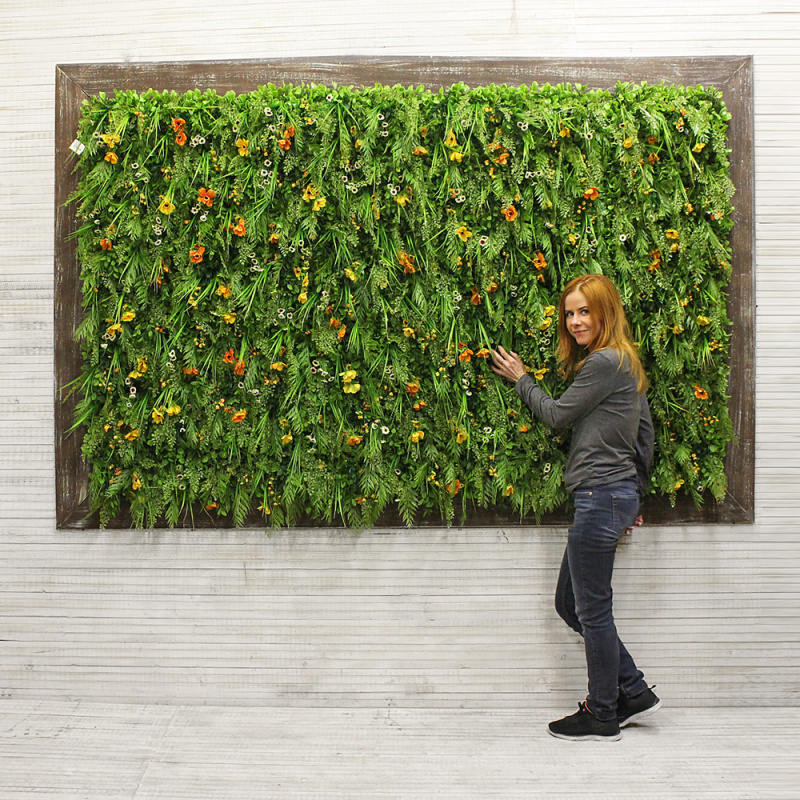 Фитостена 17-1(з.) с оранжевой космеей