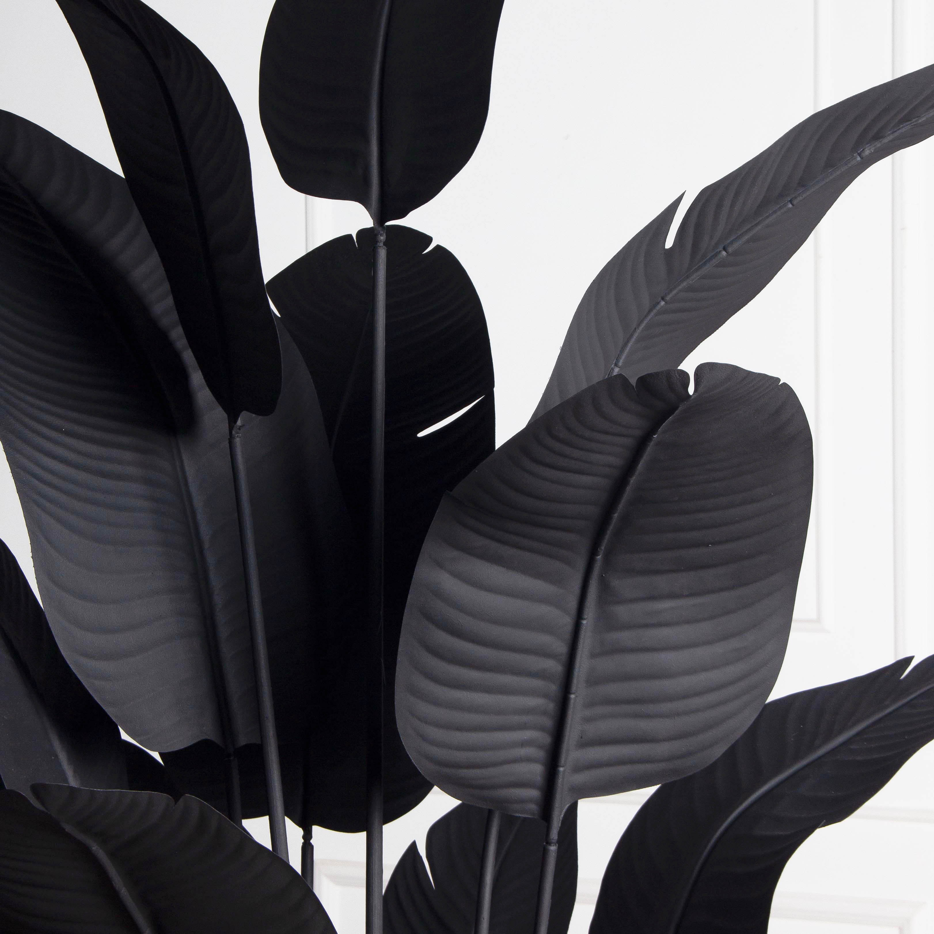 ПЦ200/К/360(з)(F) Банановая Пальма h200см (черная) в интерьерном кашпо_4