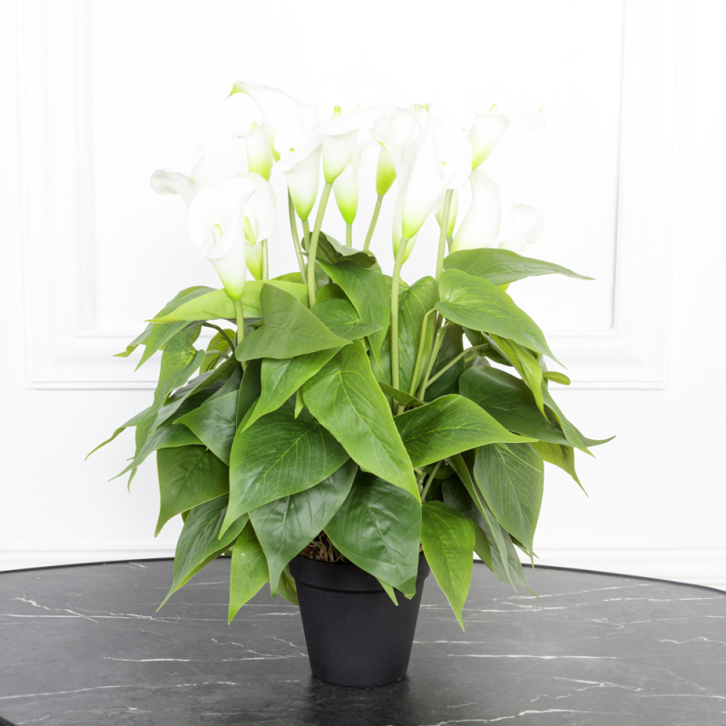 ЦС103(з.) Калла куст h37см(латекс) в кашпо d18см_3