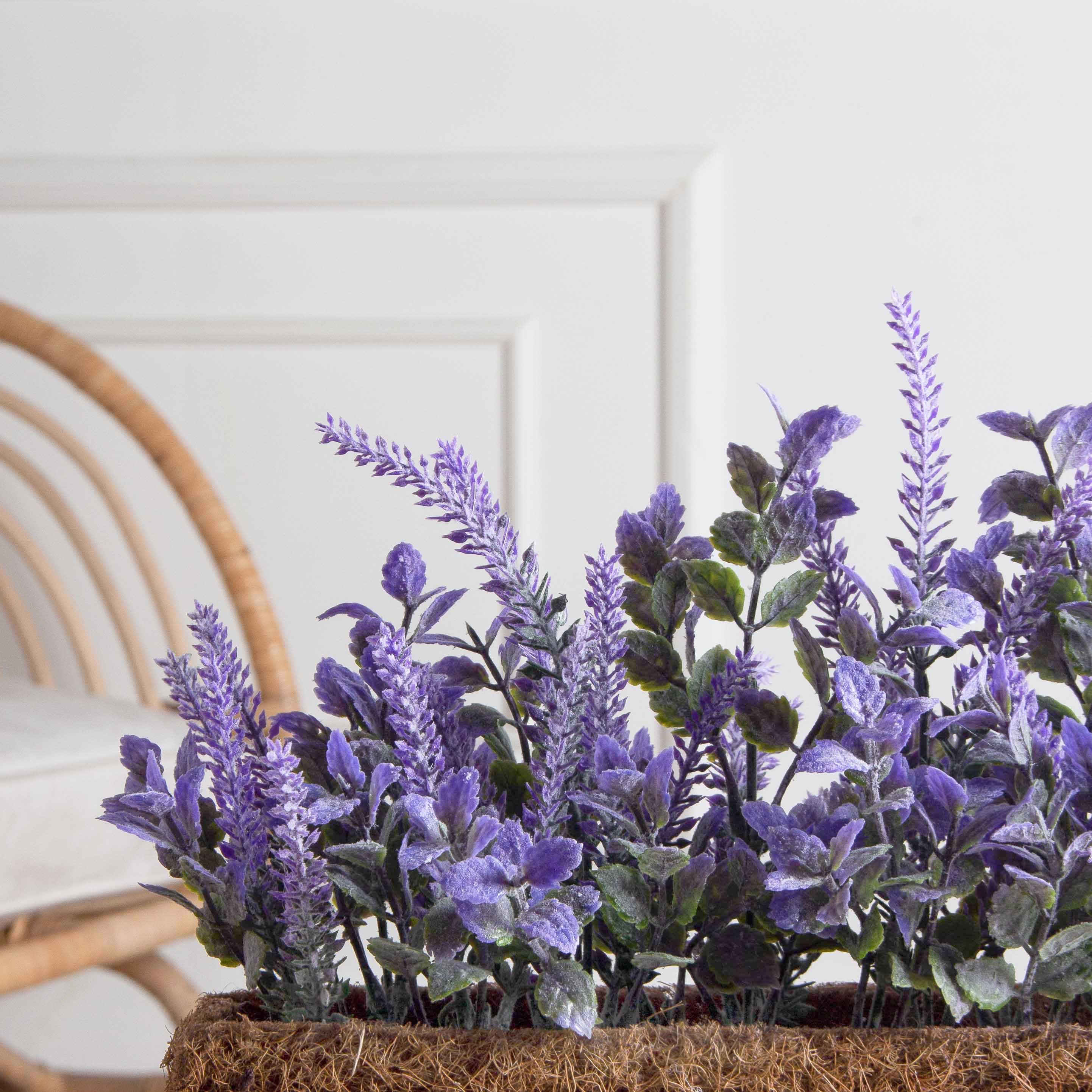 Т034-2(F) Лаванда искусственная h15см в кокосовом боксе 50х8х8см, фиолетовая_3