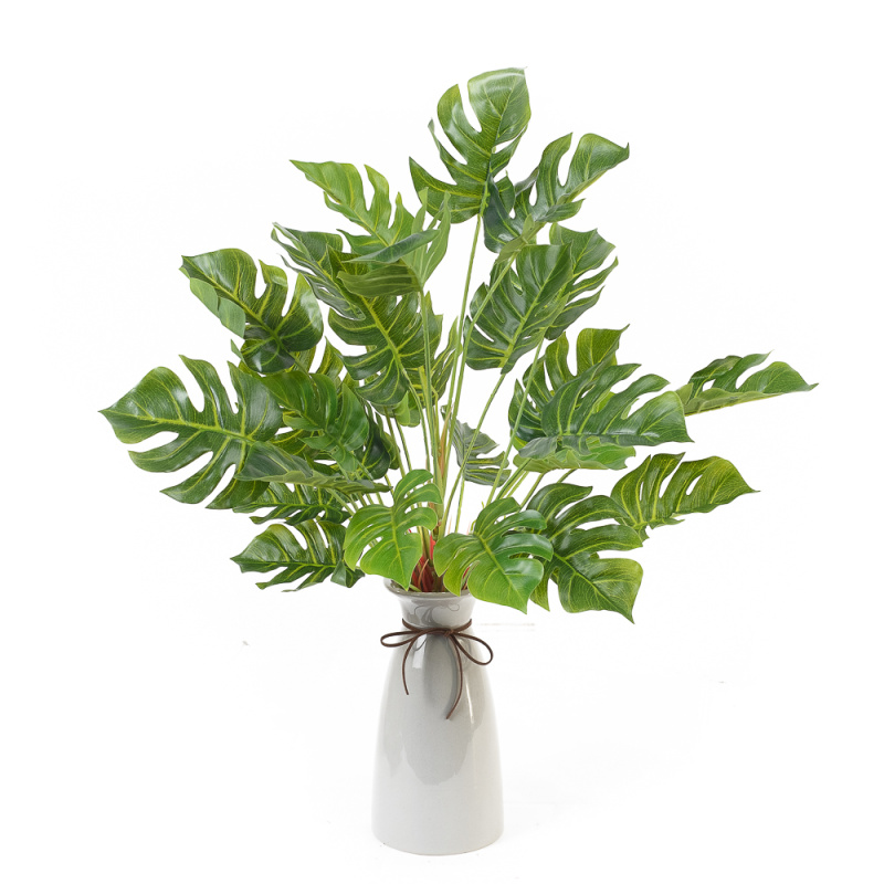 7143/9175-8 Монстера средний куст (латекс)