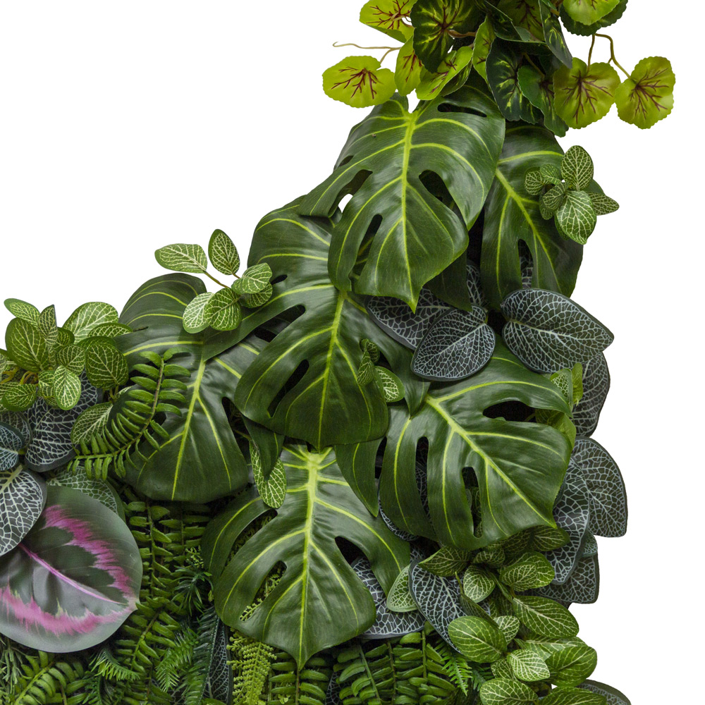 ФТС155 Фитостена _2