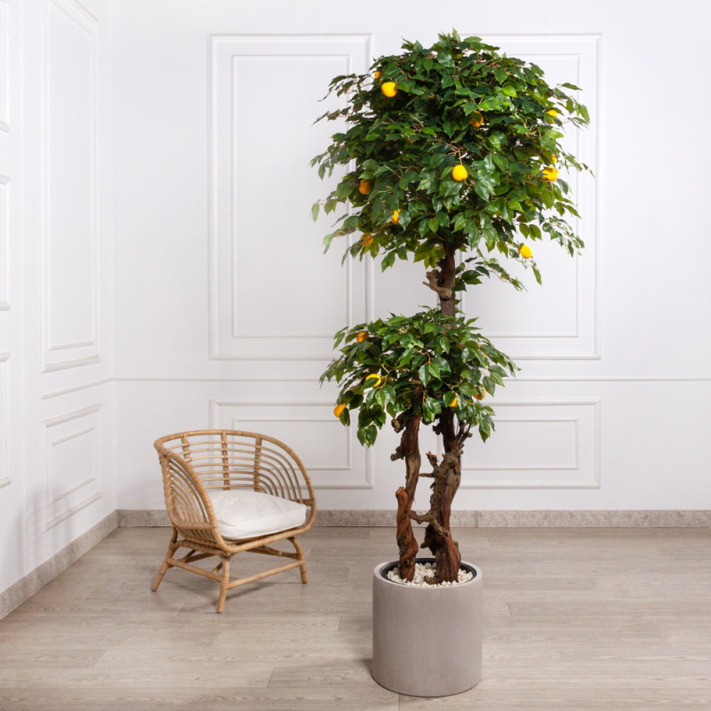 БП220/2К/42(з)(F) Бонсай искусственный Абрикос с плодами h220см, d100см (латекс)