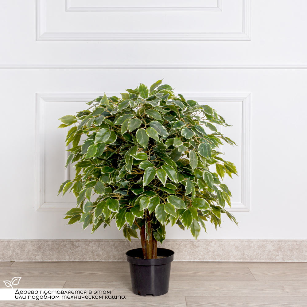 080/УК/17(з)(Пр)(F) Фикус Бенджамина искусственный h80см (латекс)_2