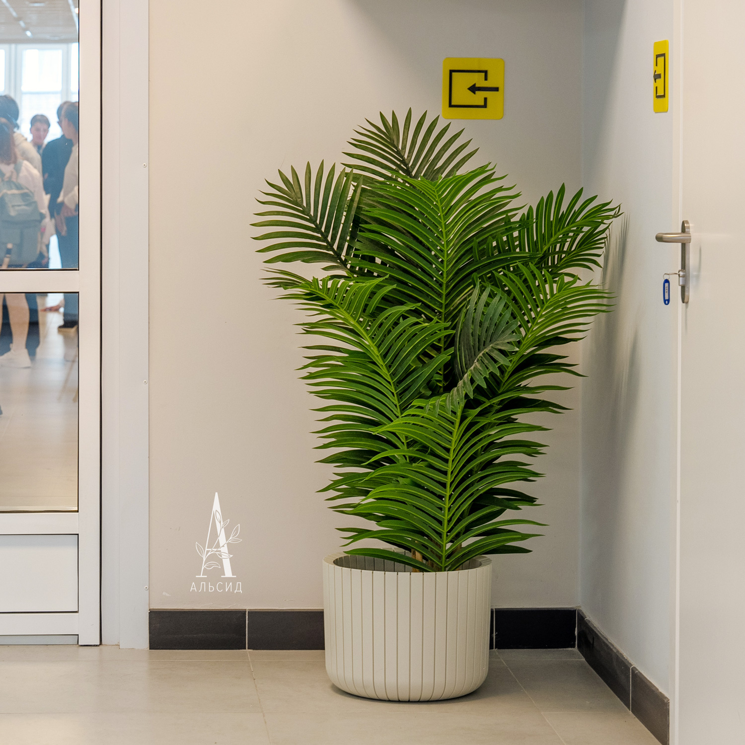 ПК130/К/49-2(з)(Пр)(FixK)(F) Пальма искусственная кустовая h130см (латекс)_3