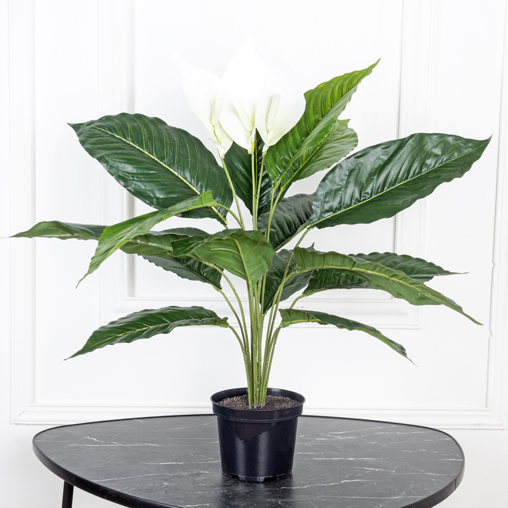 К60/217-1 Спатифиллум h60см (латекс/ревелюр)_4
