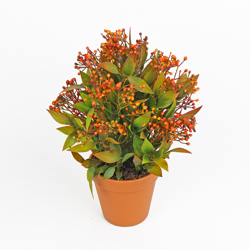 ЦС30/219-3 Куст с ягод.h20 в кашпо d-11h10 (оранж)