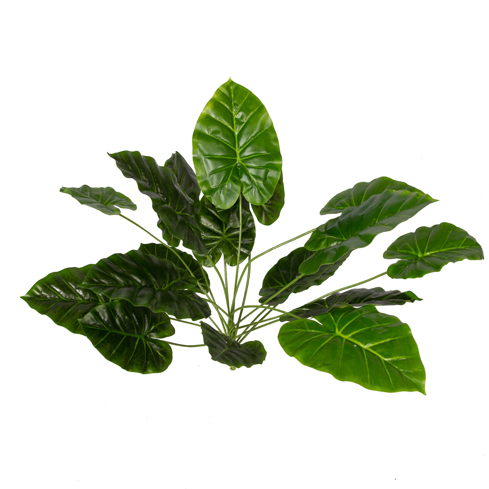 7143/0760-40/2 Куст филодендрон бол.60см_2