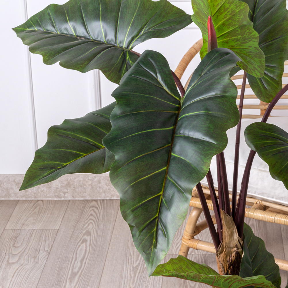 135/К/502(Safari) Алоказия искусственная h135см_5