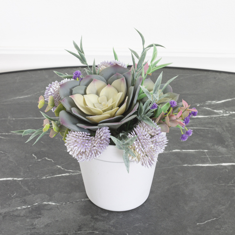 СКК09-2(МД) Суккулент (х2) (голубой)_4