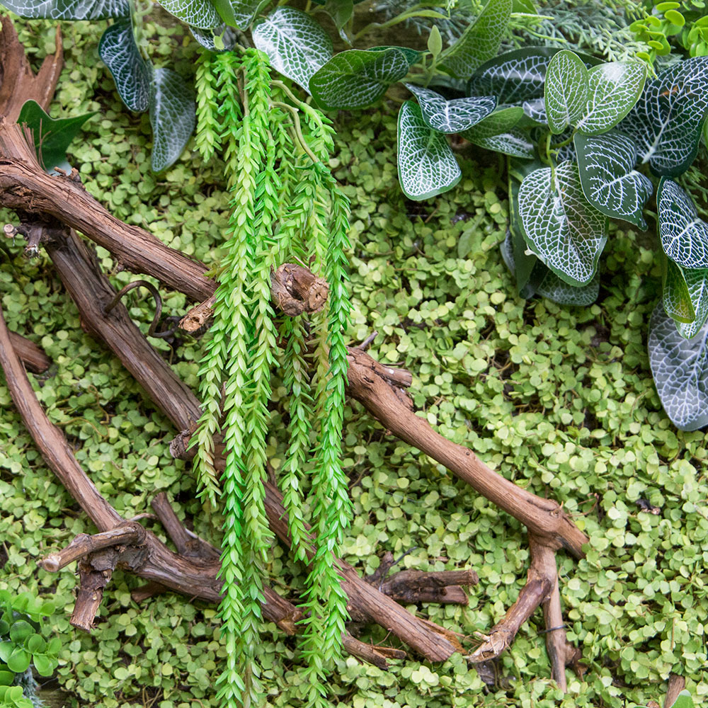 Фитостена 82-1_4