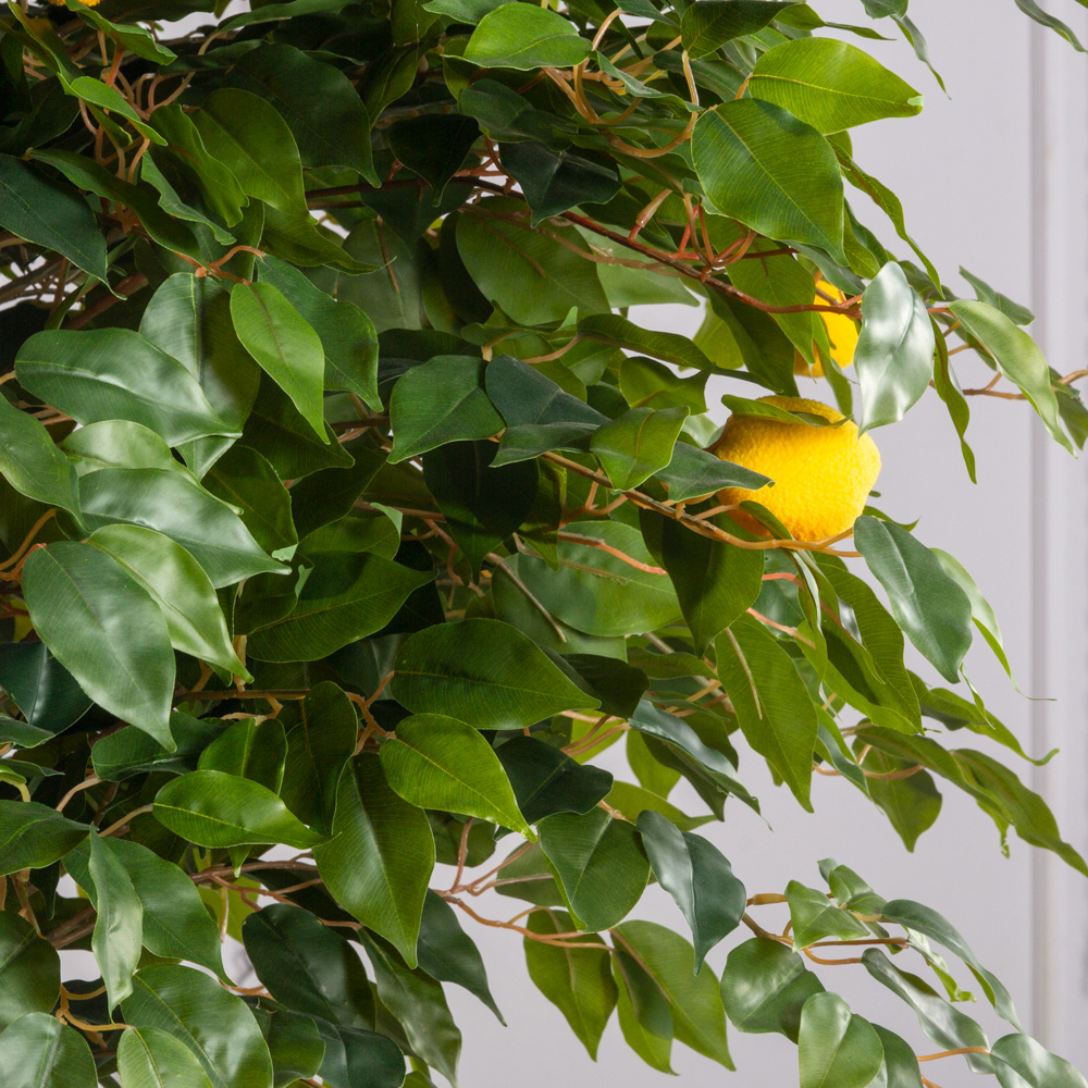 БП220/2К/42(з)(F) Бонсай искусственный Абрикос с плодами h220см, d100см (латекс) _2