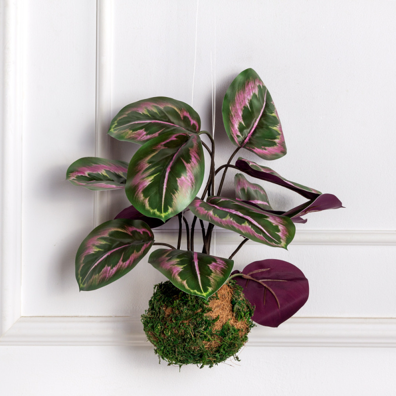 ККД57/214(з)(F) Кокедама искусственная с калатеей d10см, зелено-фиолетовый