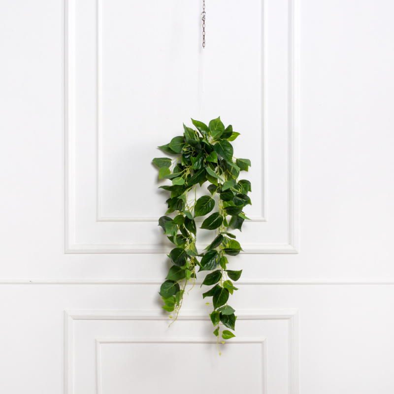 ККД50/120(з)(F) Кокедама искусственная с плющем сциндапсус d10см