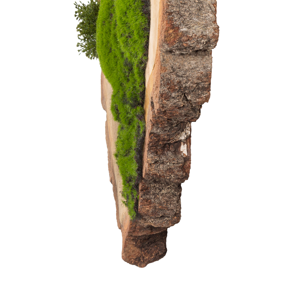 БК140/4 Композиция на березовом спиле d30-40см_3