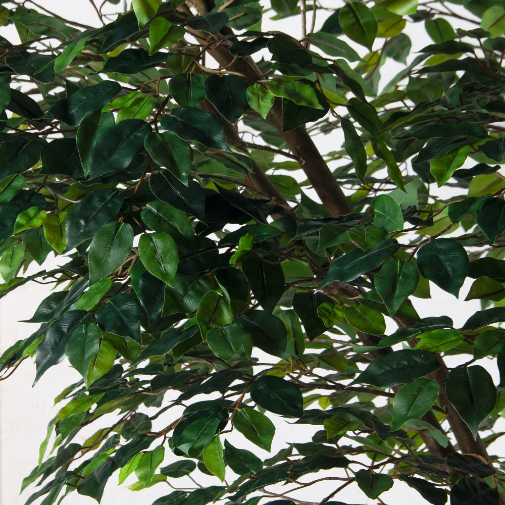 300/РН/34(Пр)(F) Фикус искусственный h300см (латекс)_3