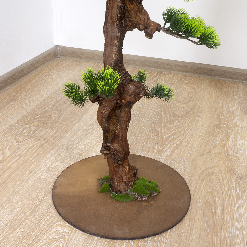 БС100/ОС/30(з.) Бонсай Сосна h100см на основании_10