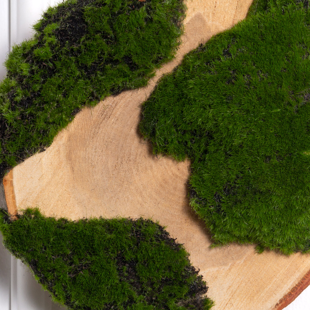 БК140/20(F) Композиция на березовом спиле d16-20см_1